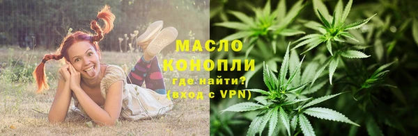 крисы Бронницы